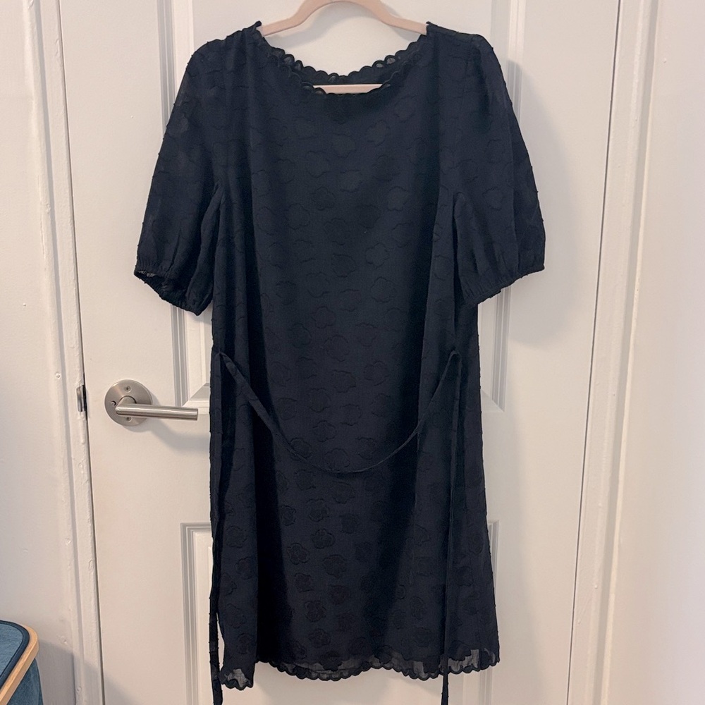Ann Taylor Navy Blue Lace Dress